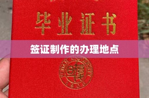 陇川签证制作的办理地点