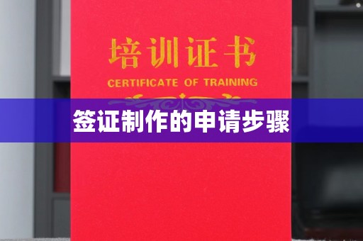 陇川签证制作的申请步骤