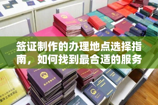 陇川签证制作的办理地点选择指南，如何找到最合适的服务点