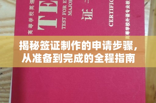 陇川揭秘签证制作的申请步骤，从准备到完成的全程指南
