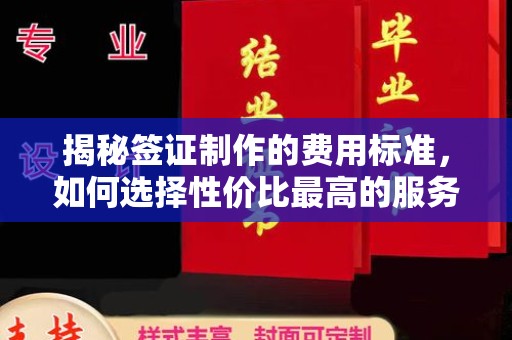 陇川揭秘签证制作的费用标准，如何选择性价比最高的服务？