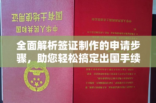 陇川全面解析签证制作的申请步骤，助您轻松搞定出国手续