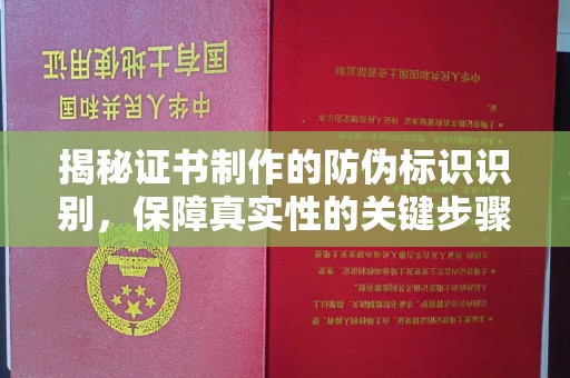 陇川揭秘证书制作的防伪标识识别，保障真实性的关键步骤