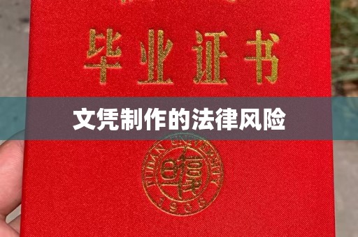 陇川文凭制作的法律风险