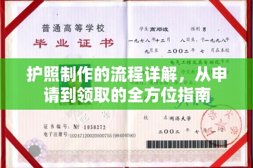 陇川护照制作的流程详解，从申请到领取的全方位指南